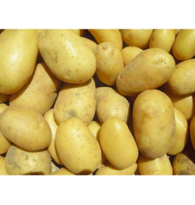 PDT "Grenaille"