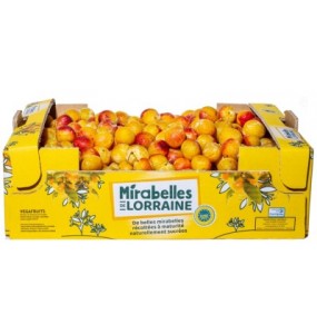 Mirabelle de Lorraine IGP