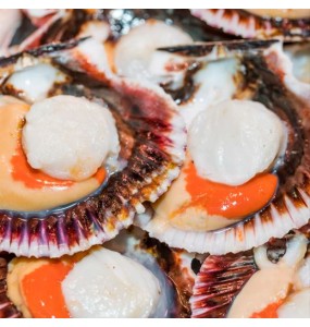 Noix de Saint-Jacques x 6