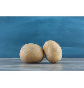 Pomme de terre Monique 10kg