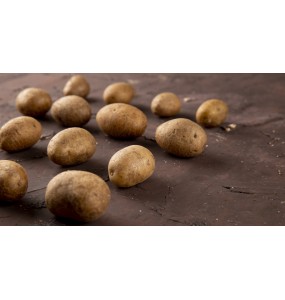 Pomme de terre Grenaille 10kg