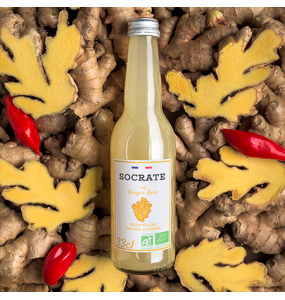 Socrate Ginger Beer