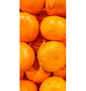 Mandarines BIO