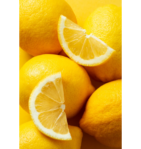 Citrons BIO