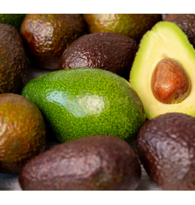 Avocats BIO