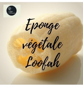 Eponge de Loofah